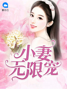 小妻无限宠江满月
