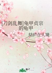 [刀剑乱舞]龟甲贞宗的龟甲