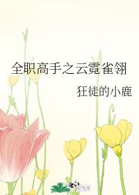 全职高手之云霓雀翎
