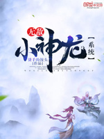 无敌小神龙系统