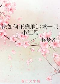 论如何正确的追求一只小红鸟