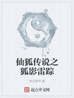 仙狐传说之狐影雷踪