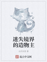 迷失镜界的造物主