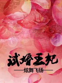 试婚王妃（完）