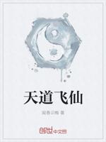 天道飞仙